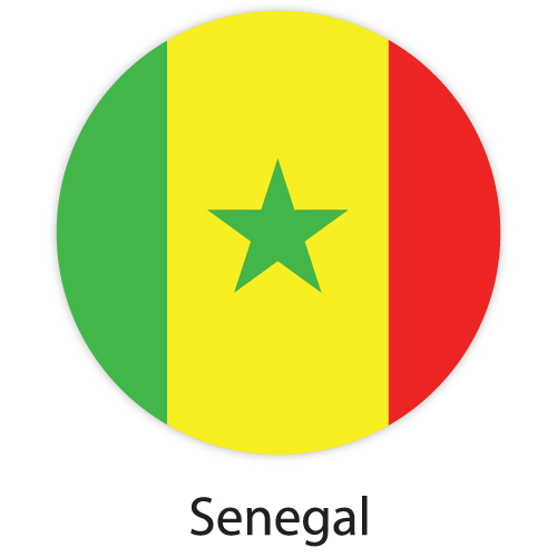 Senegal Organize U Travel Visas